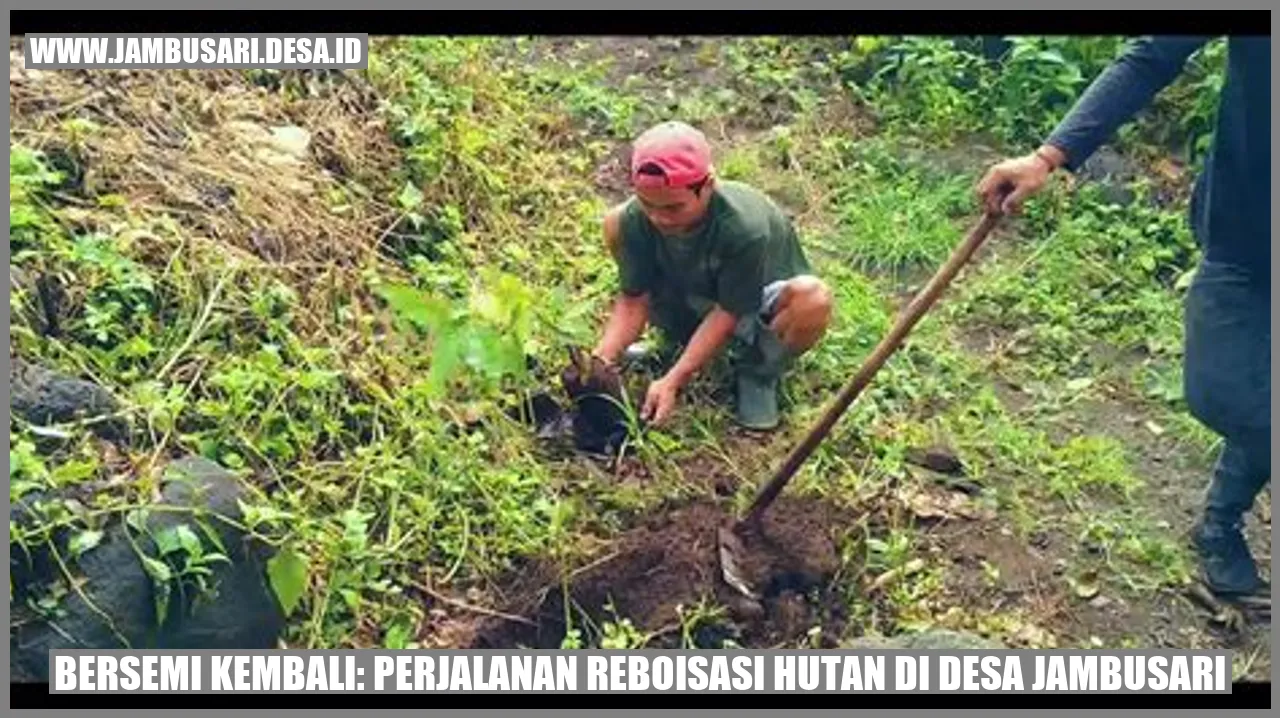Bersemi Kembali: Perjalanan Reboisasi Hutan di Desa Jambusari