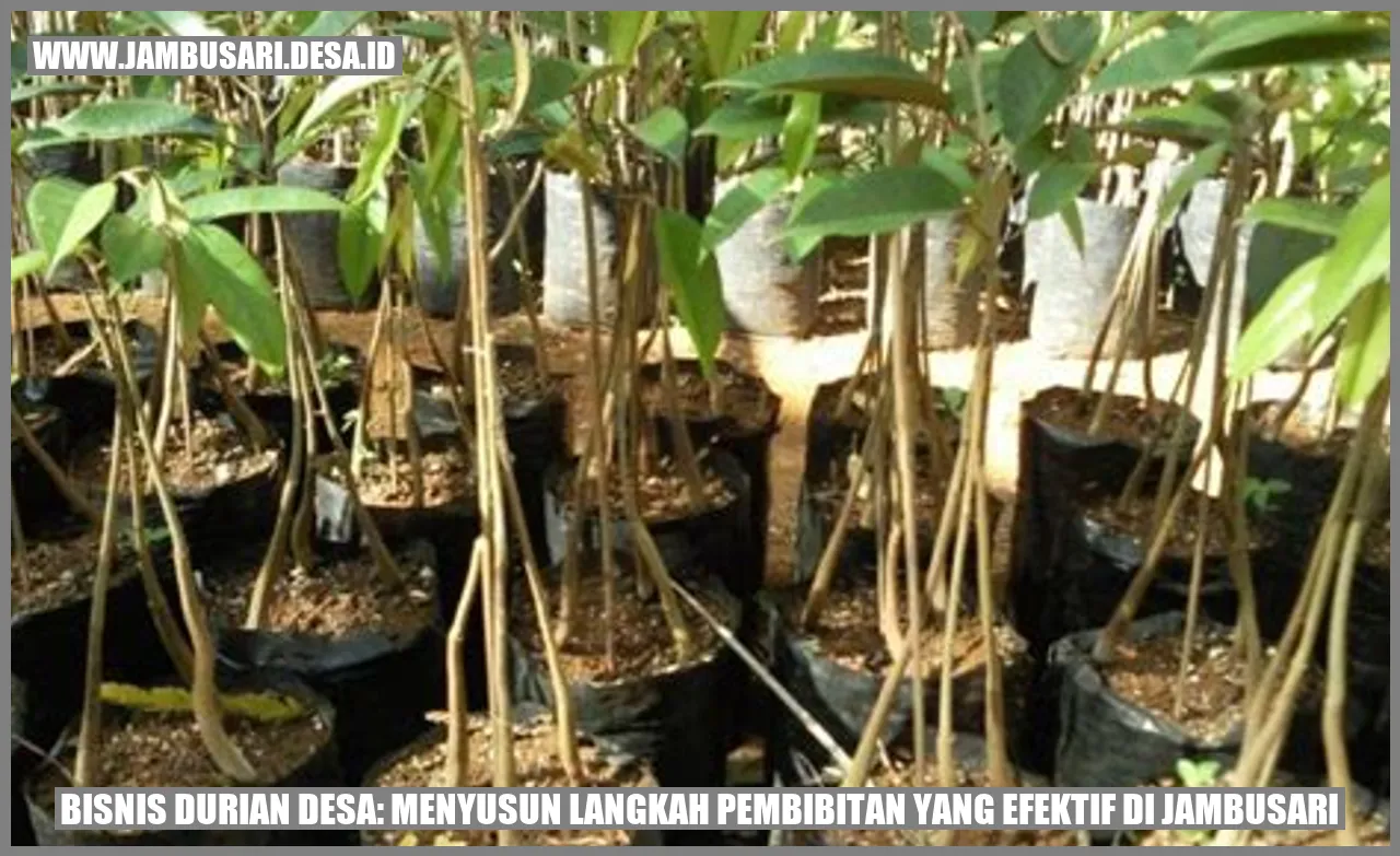 Gambar Pembibitan Durian