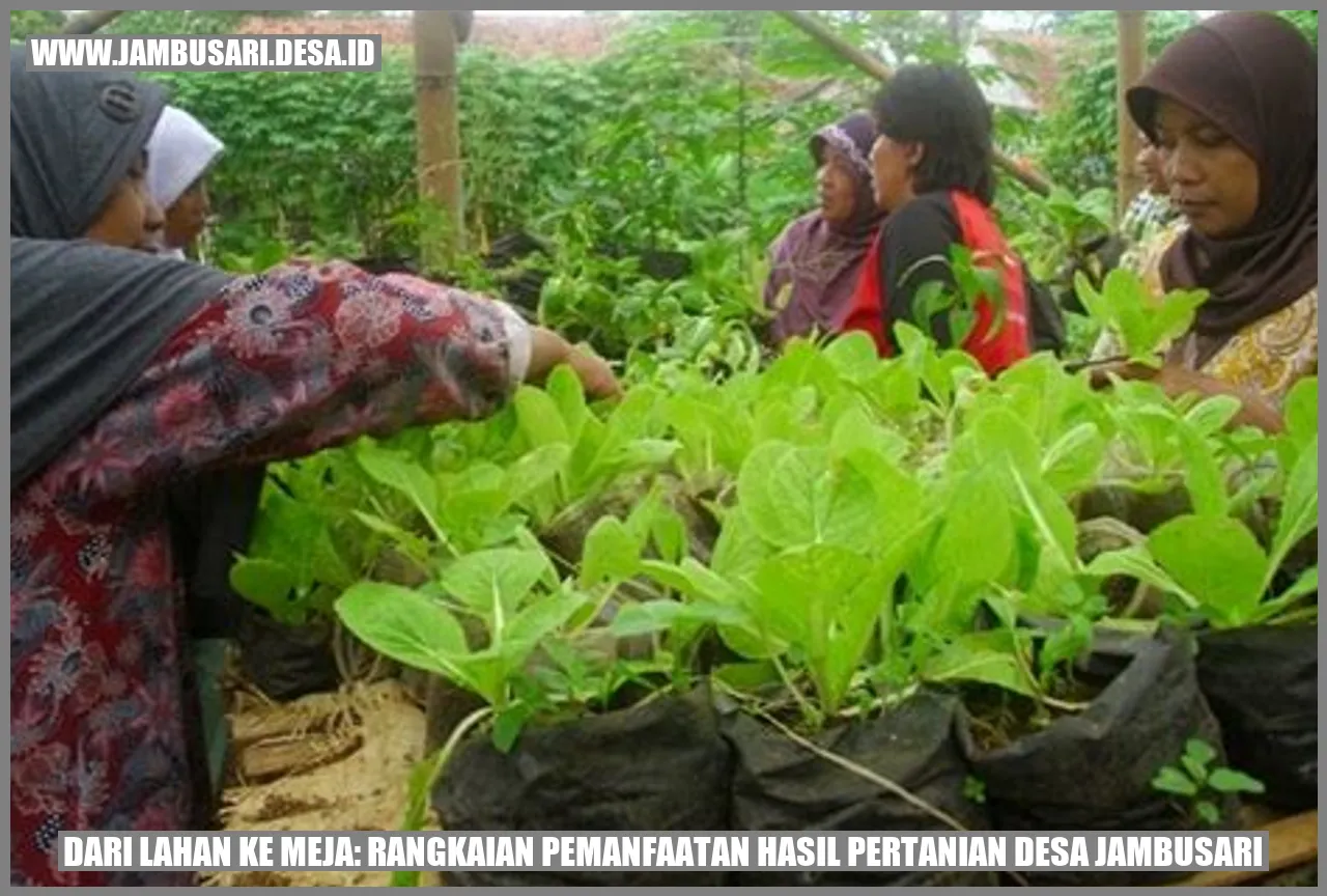 Dari Lahan ke Meja: Rangkaian Pemanfaatan Hasil Pertanian Desa Jambusari