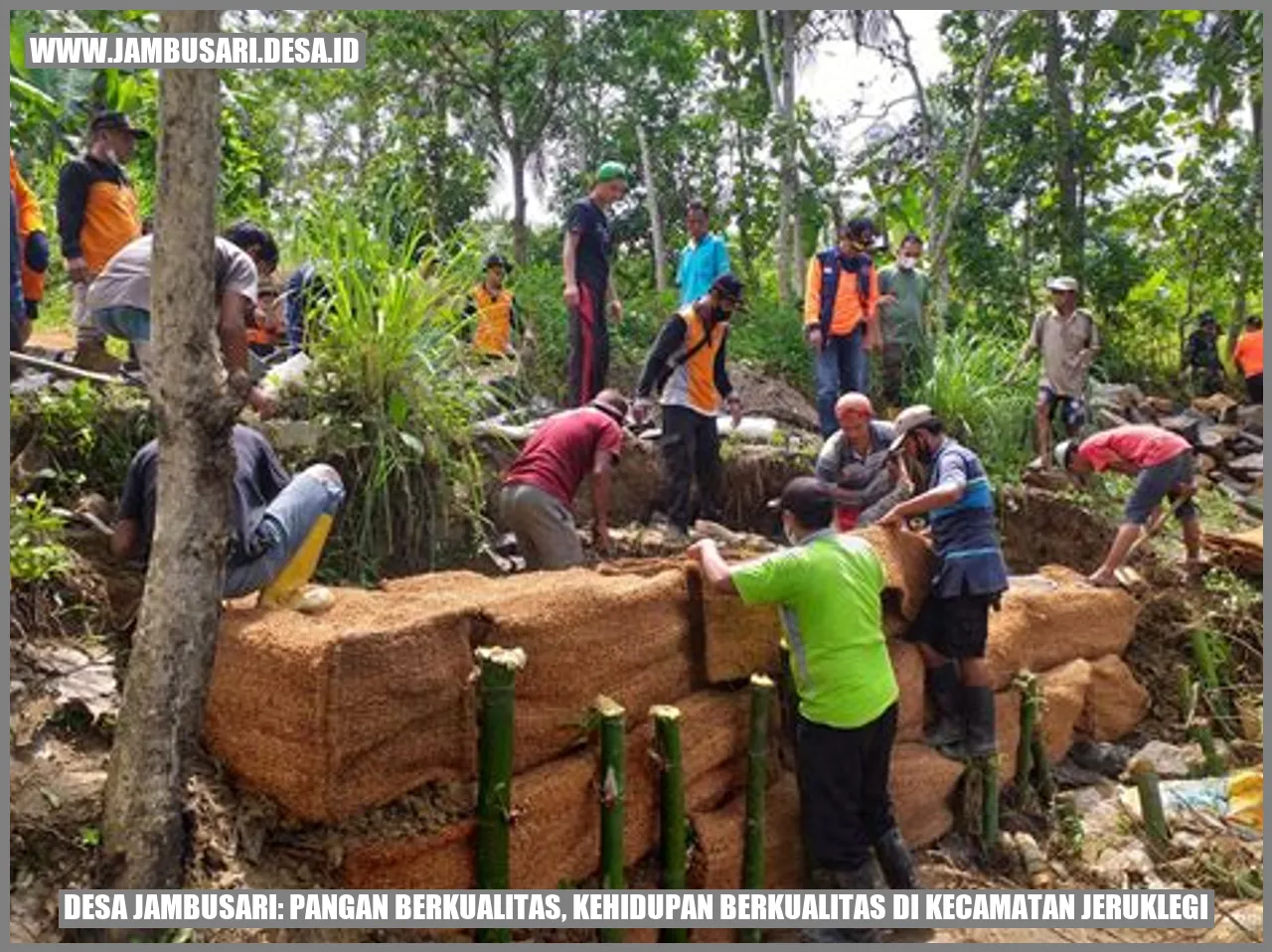 Desa Jambusari: Pangan Berkualitas, Kehidupan Berkualitas di Kecamatan Jeruklegi