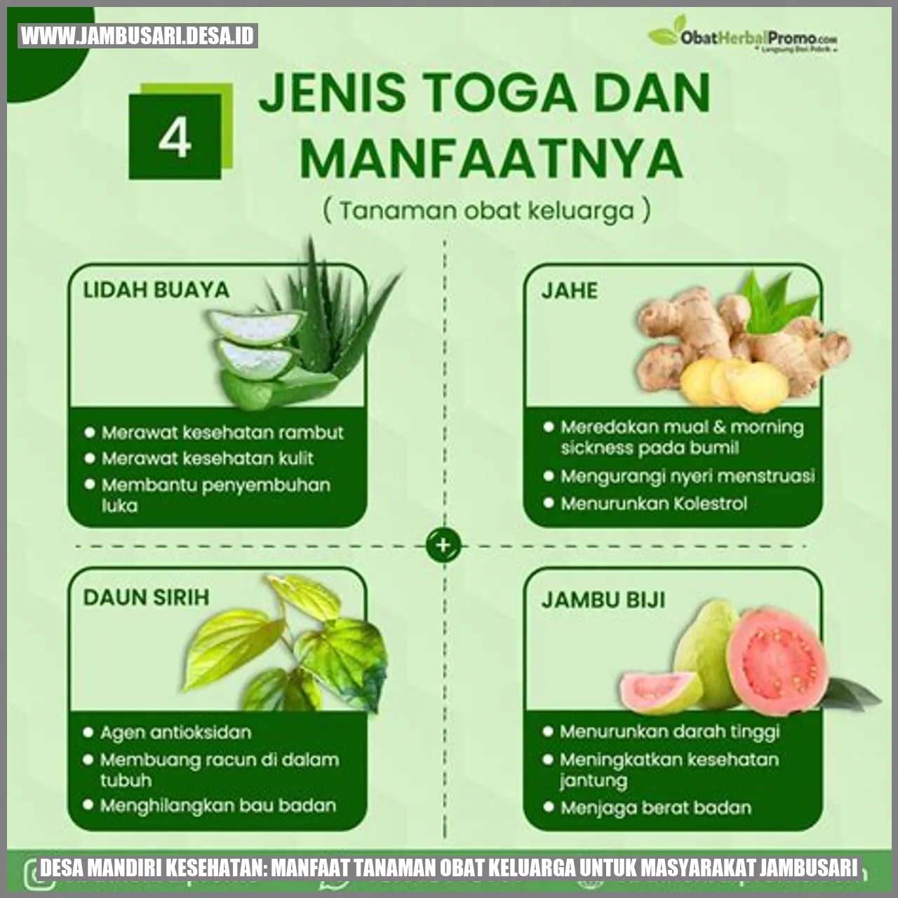 Desa Mandiri Kesehatan: Manfaat Tanaman Obat Keluarga untuk Masyarakat Jambusari
