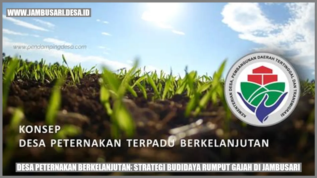 Desa Peternakan Berkelanjutan: Strategi Budidaya Rumput Gajah di Jambusari