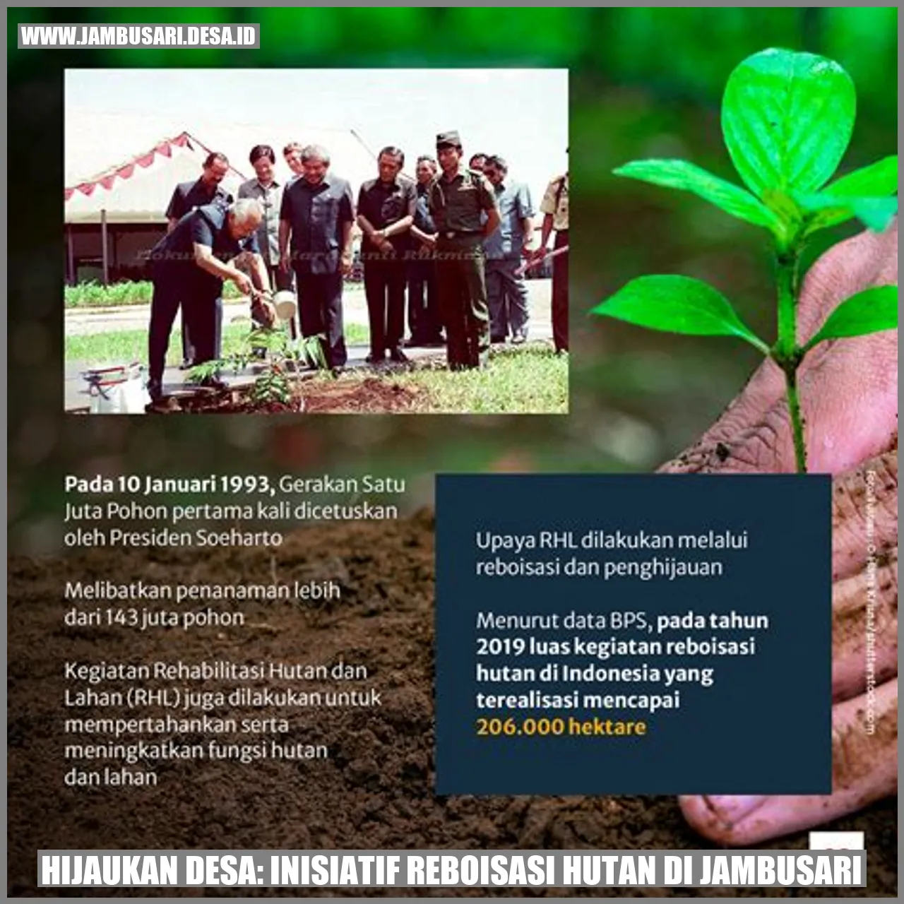 Hijaukan Desa: Inisiatif Reboisasi Hutan di Jambusari