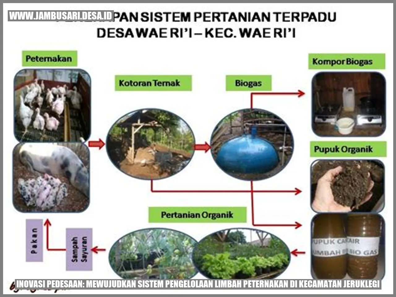 Inovasi Pedesaan: Mewujudkan Sistem Pengelolaan Limbah Peternakan di Kecamatan Jeruklegi