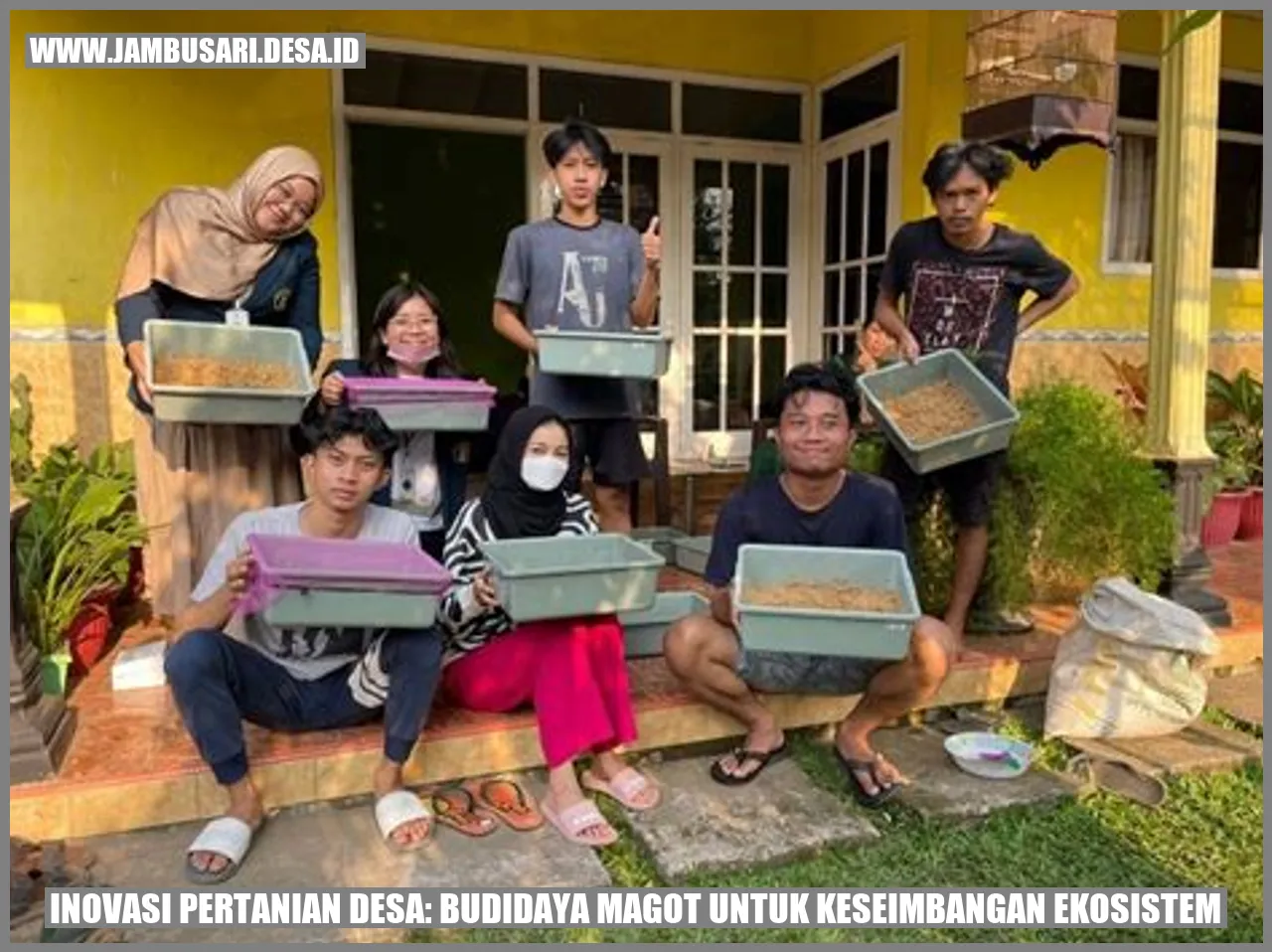 Budidaya Magot