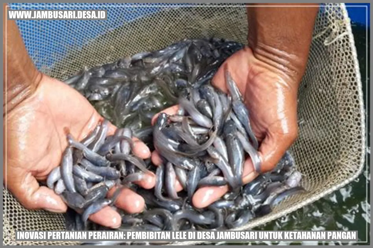 Pembibitan Lele di Desa Jambusari