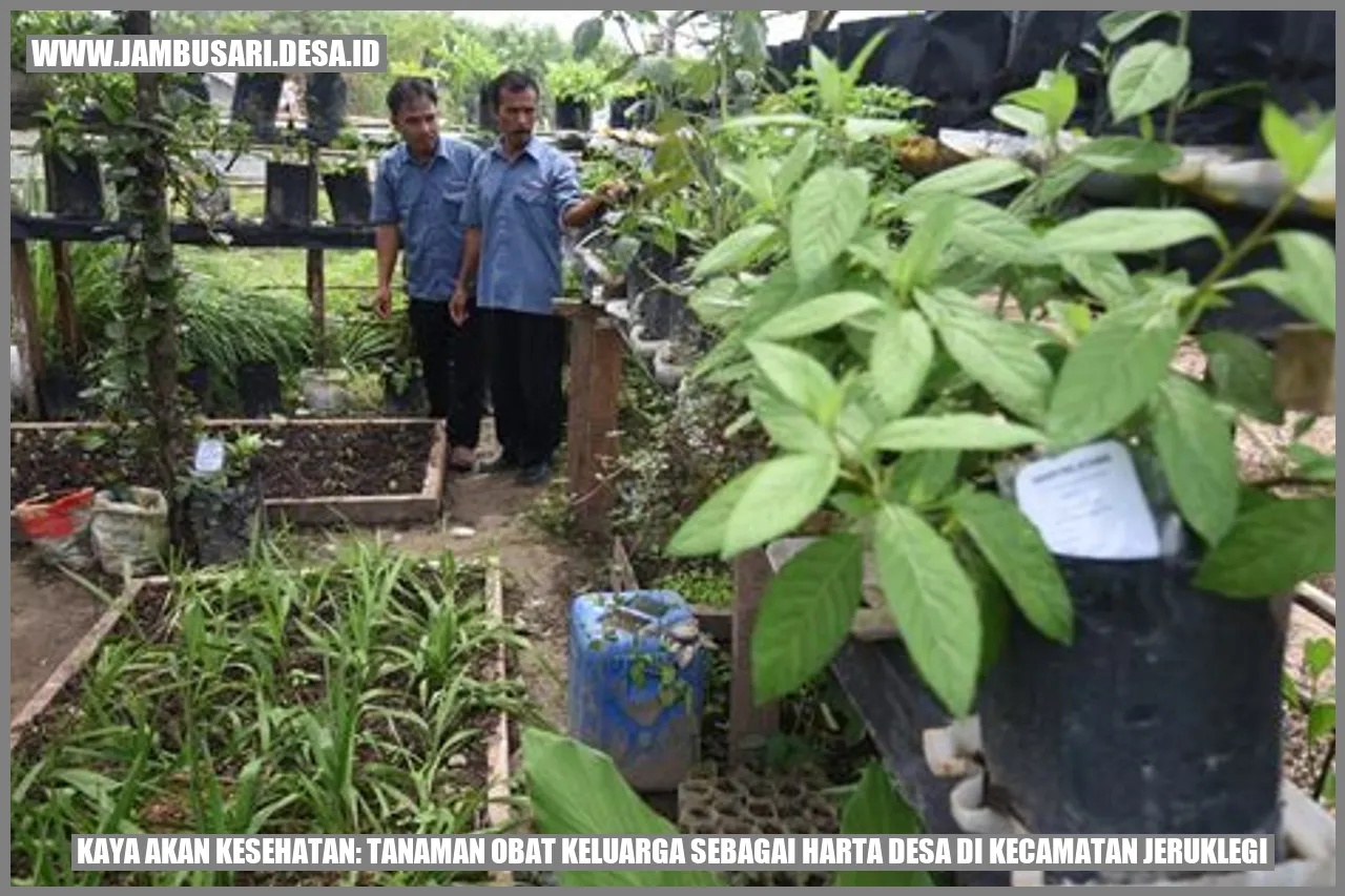 Gambar Tanaman Obat Keluarga