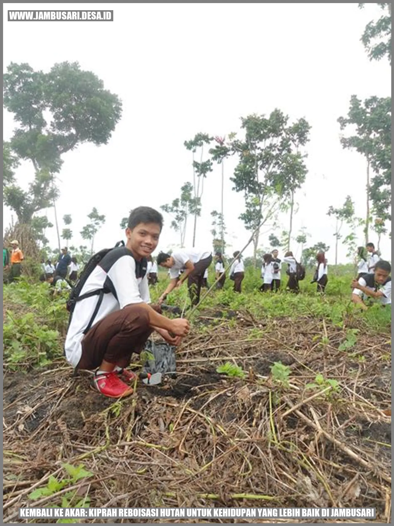 Reboisasi Hutan