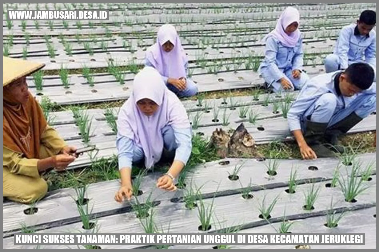 Kunci Sukses Tanaman: Praktik Pertanian Unggul di Desa Kecamatan Jeruklegi