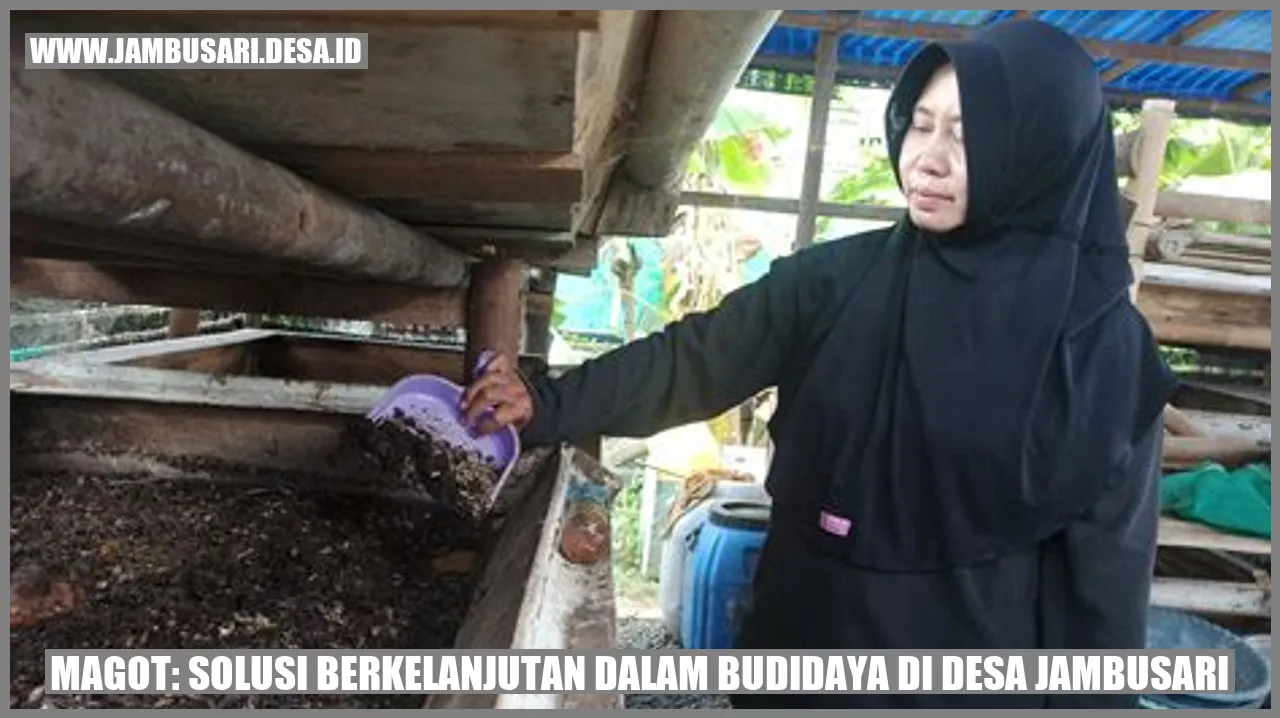 Magot: Solusi Berkelanjutan dalam Budidaya di Desa Jambusari