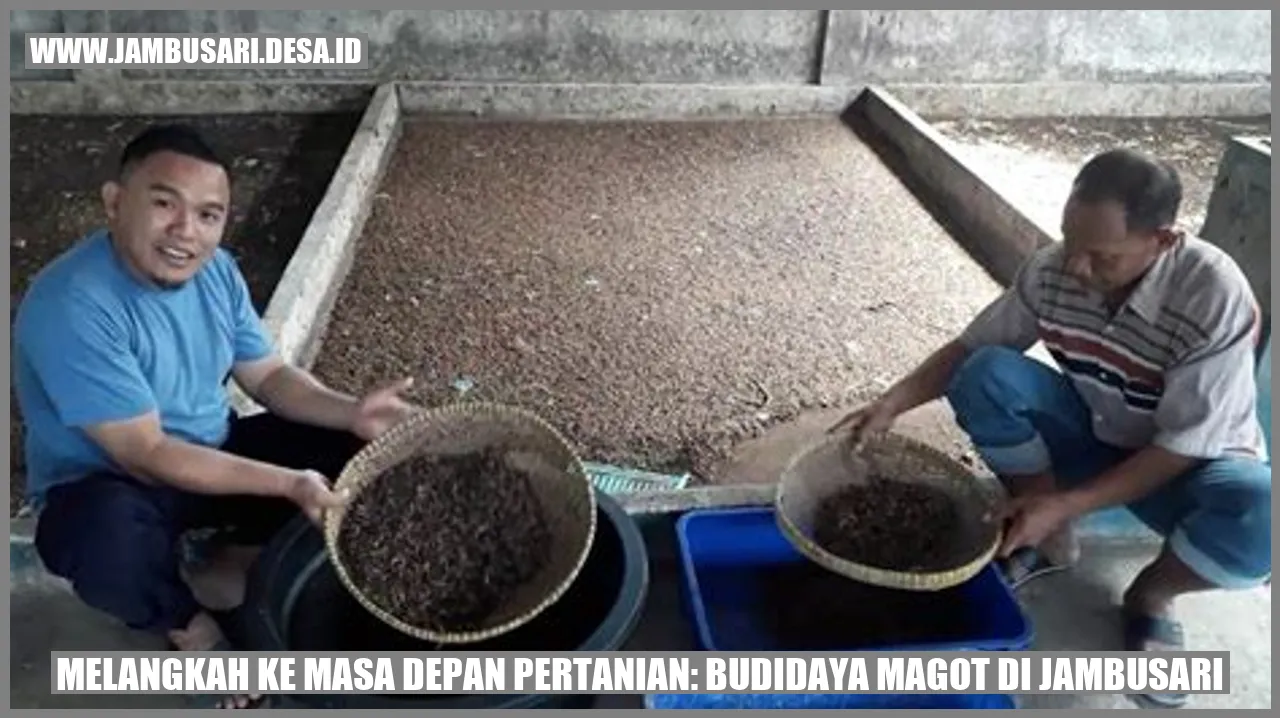 Magot di Jambusari