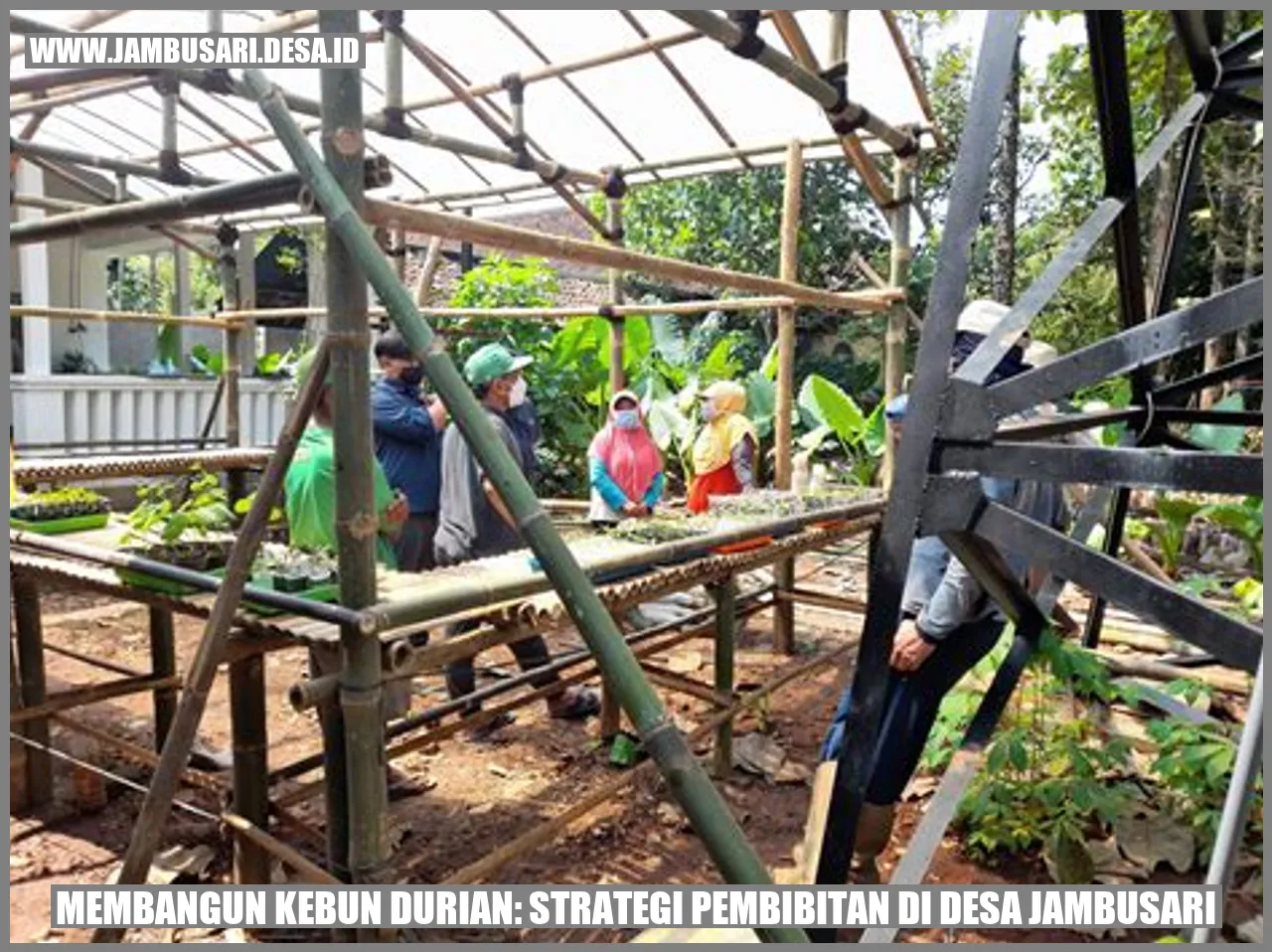 Durian