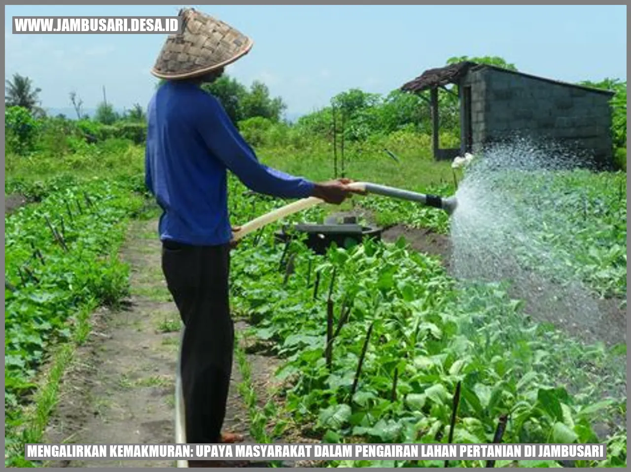pengairan lahan pertanian di Jambusari