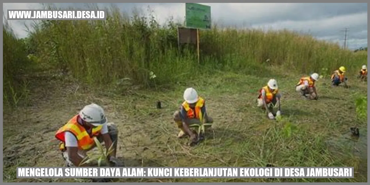 Gambar Mengelola Sumber Daya Alam: Kunci Keberlanjutan Ekologi di Desa Jambusari