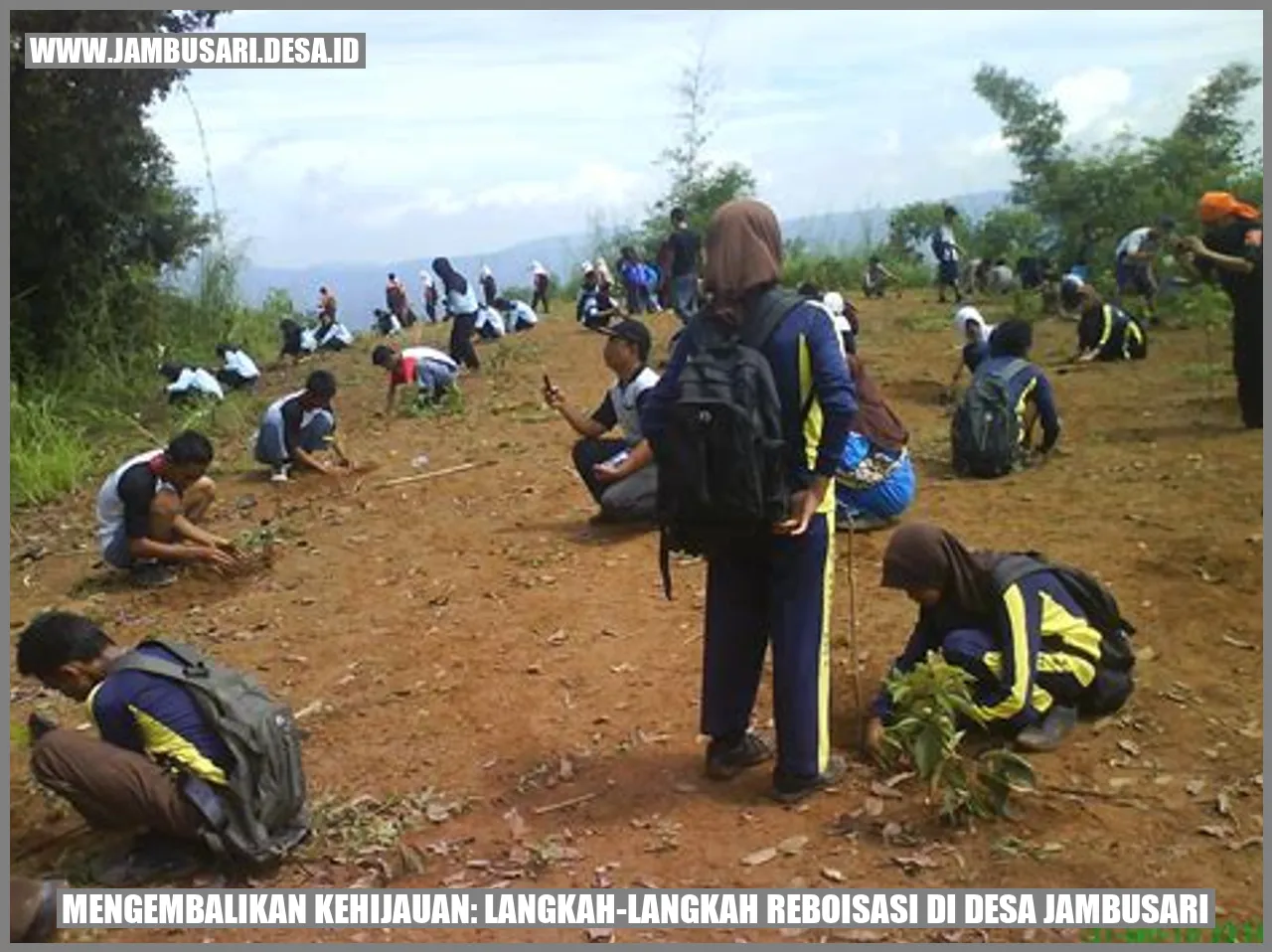 Mengembalikan Kehijauan: Langkah-Langkah Reboisasi di Desa Jambusari
