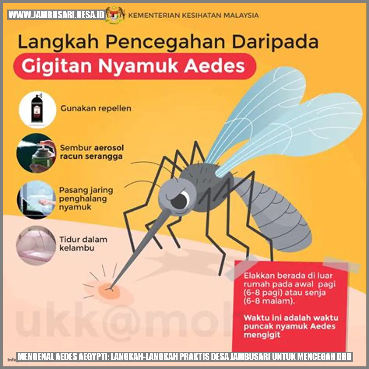 Mengenal Aedes aegypti: Langkah-langkah Praktis Desa Jambusari untuk Mencegah DBD