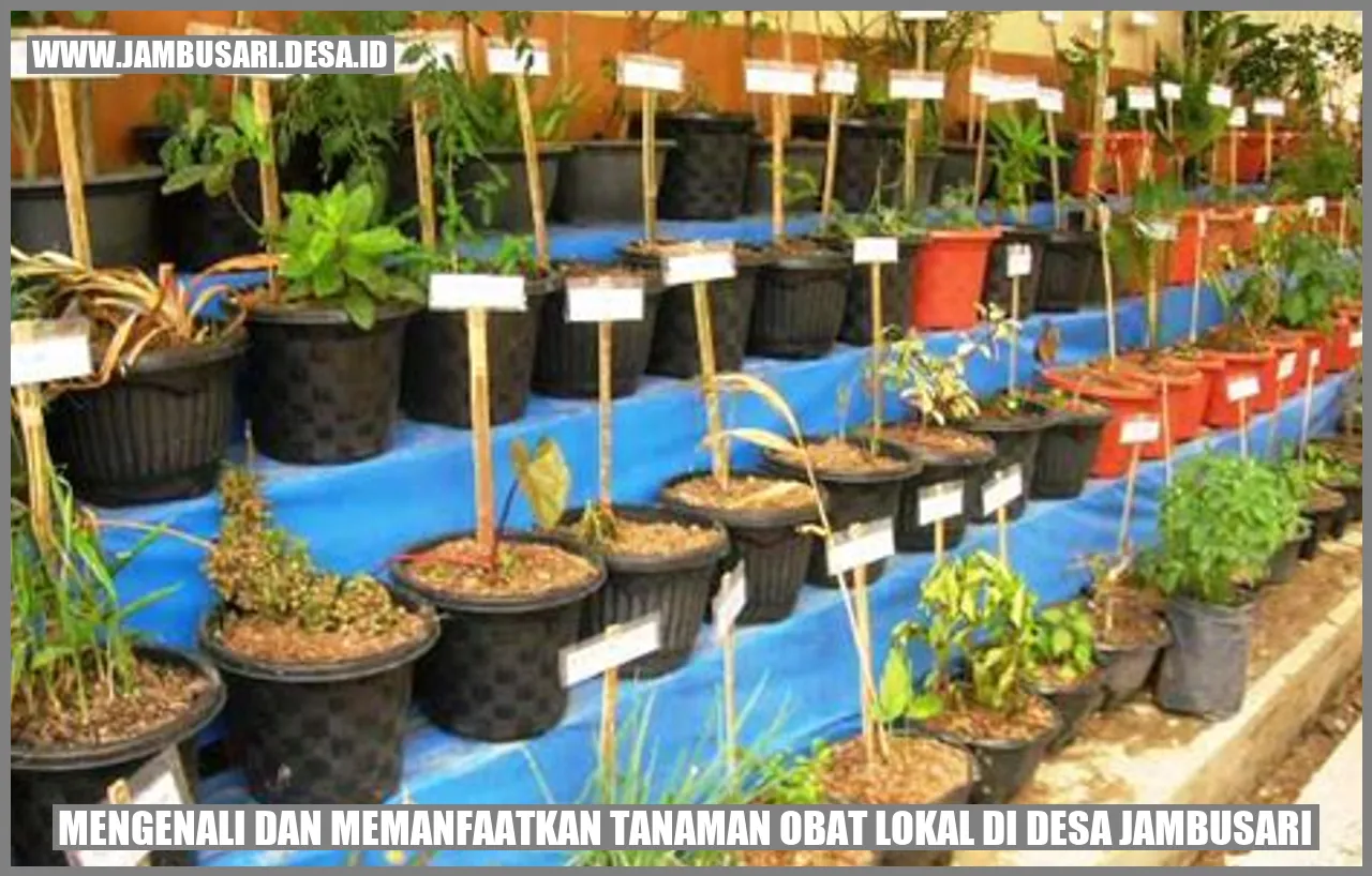 Gambar Tanaman Obat Lokal di Desa Jambusari