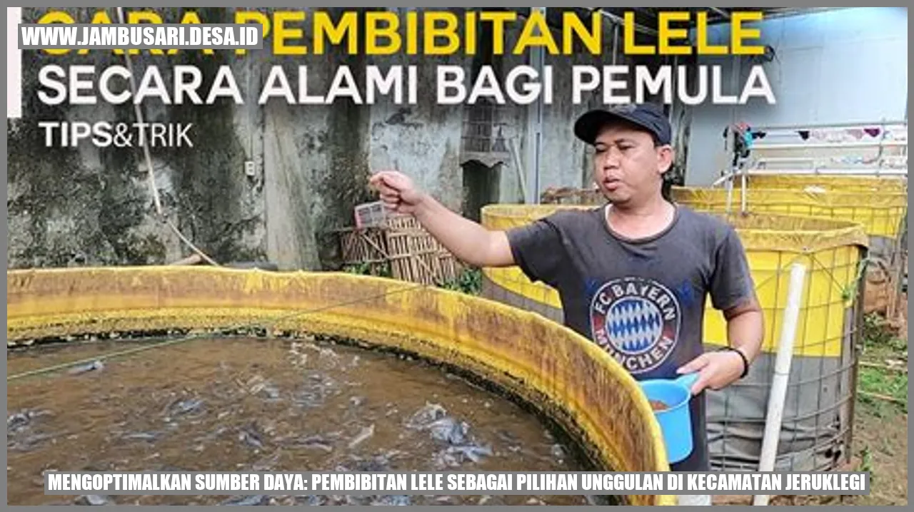 Pembibitan Lele