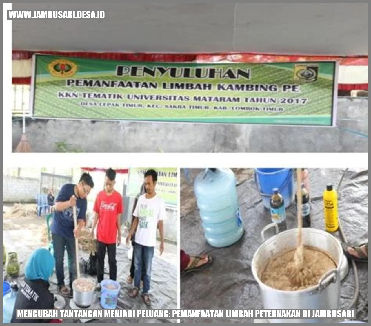 Mengubah Tantangan Menjadi Peluang: Pemanfaatan Limbah Peternakan di Jambusari