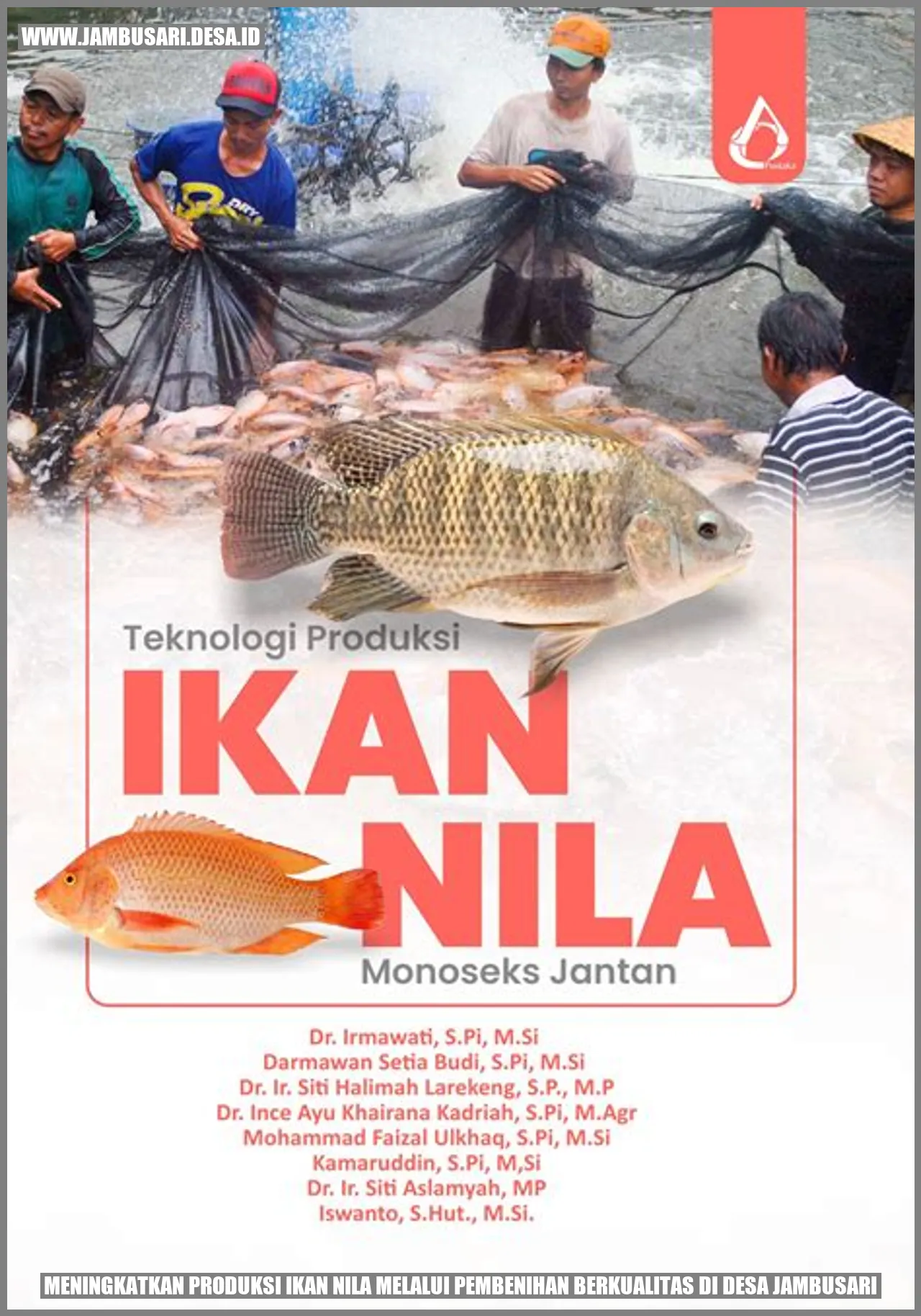 Gambar Ikan Nila