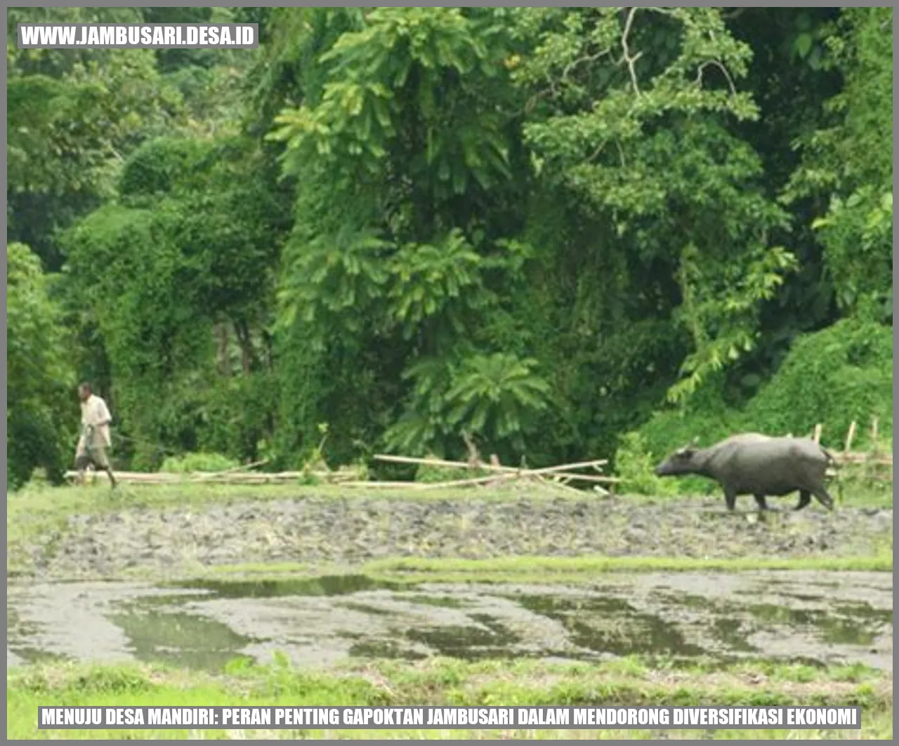 Gambar Gapoktan Jambusari