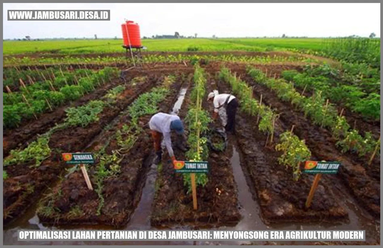 Optimalisasi Lahan Pertanian di Desa Jambusari: Menyongsong Era Agrikultur Modern