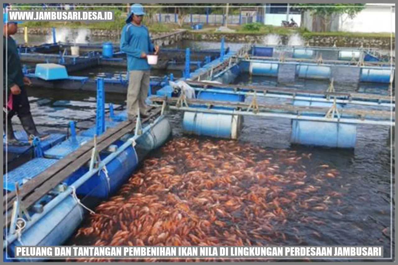 Peluang Pembenihan Ikan Nila