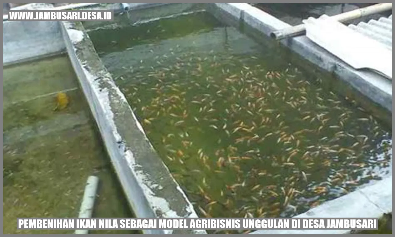 Pembenihan Ikan Nila sebagai Model Agribisnis Unggulan di Desa Jambusari