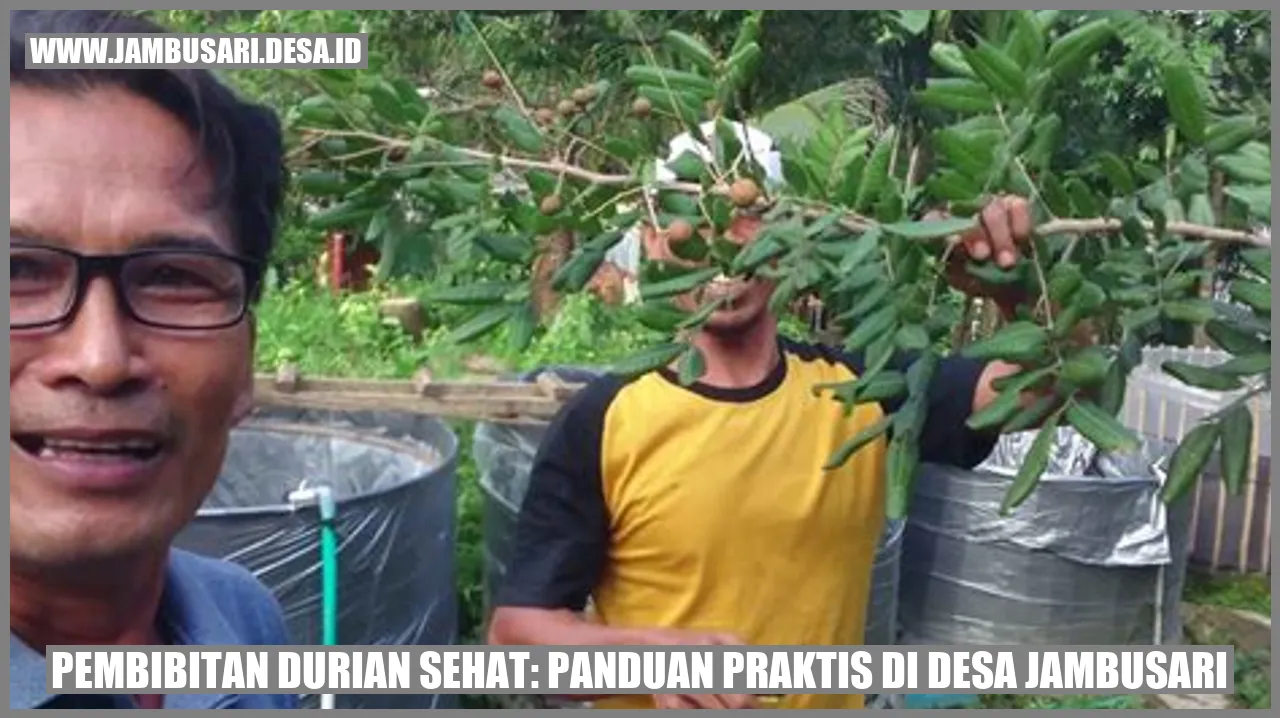 Pembibitan Durian Sehat: Panduan Praktis di Desa Jambusari