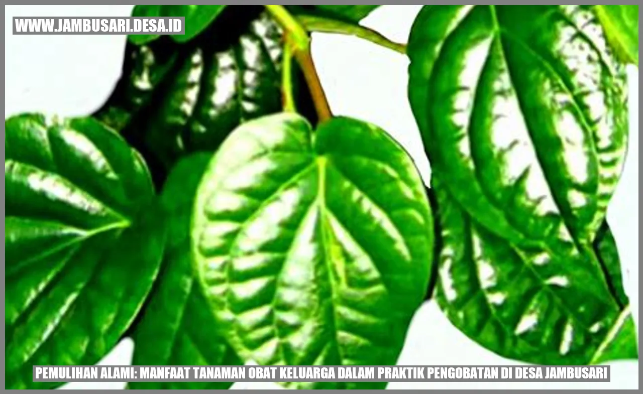 Manfaat Tanaman Obat Keluarga dalam Praktik Pengobatan di Desa Jambusari