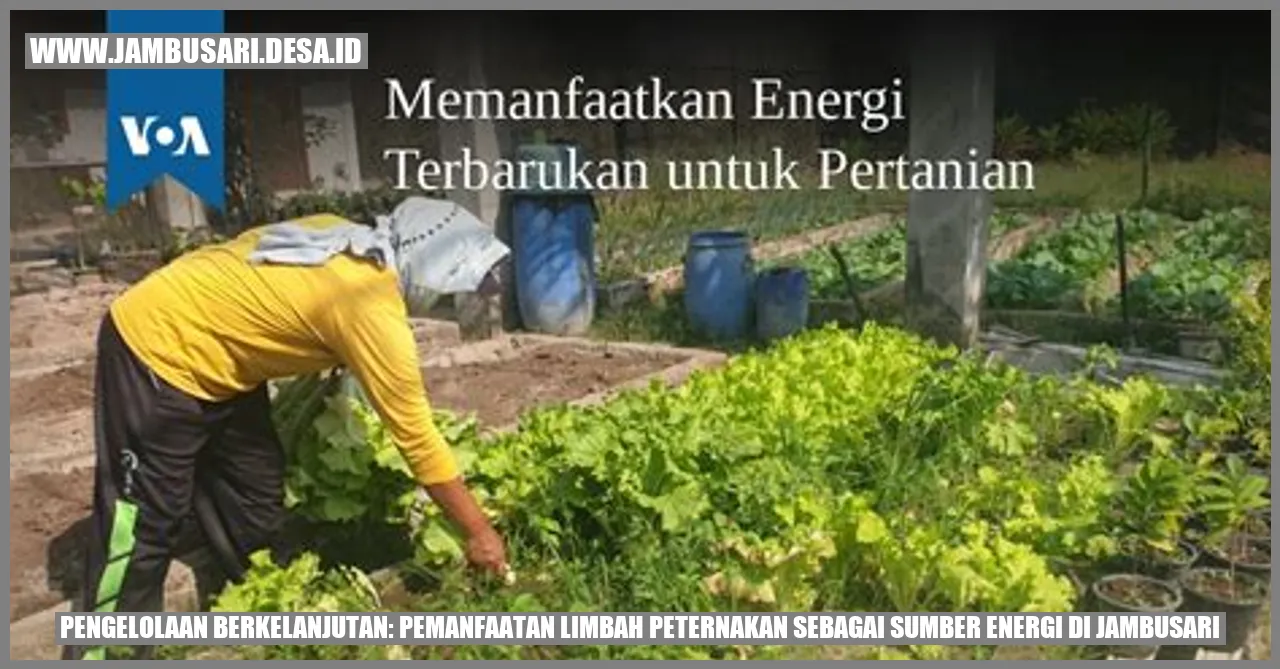 Pengelolaan Berkelanjutan: Pemanfaatan Limbah Peternakan Sebagai Sumber Energi di Jambusari