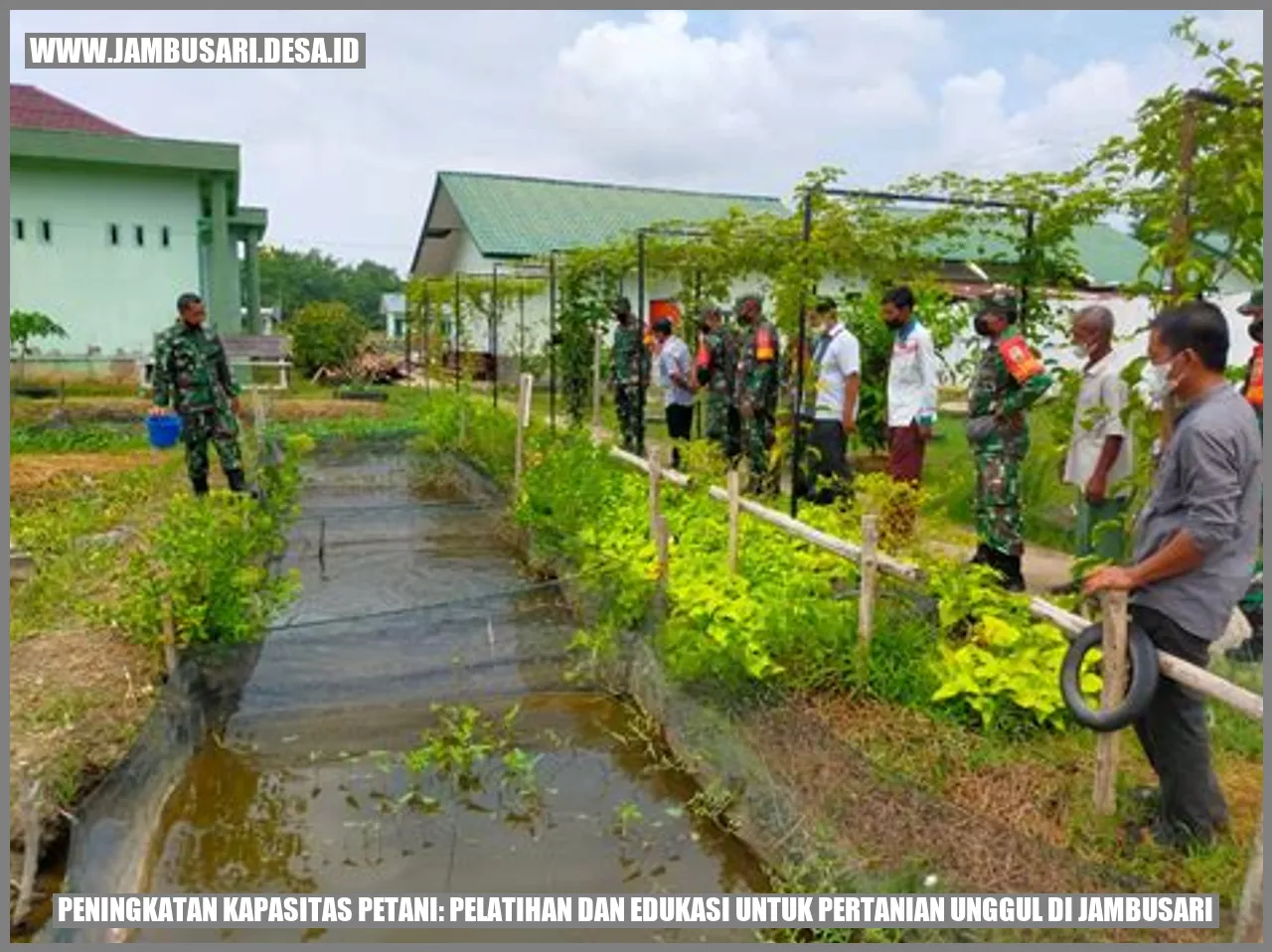 Peningkatan Kapasitas Petani: Pelatihan dan Edukasi untuk Pertanian Unggul di Jambusari