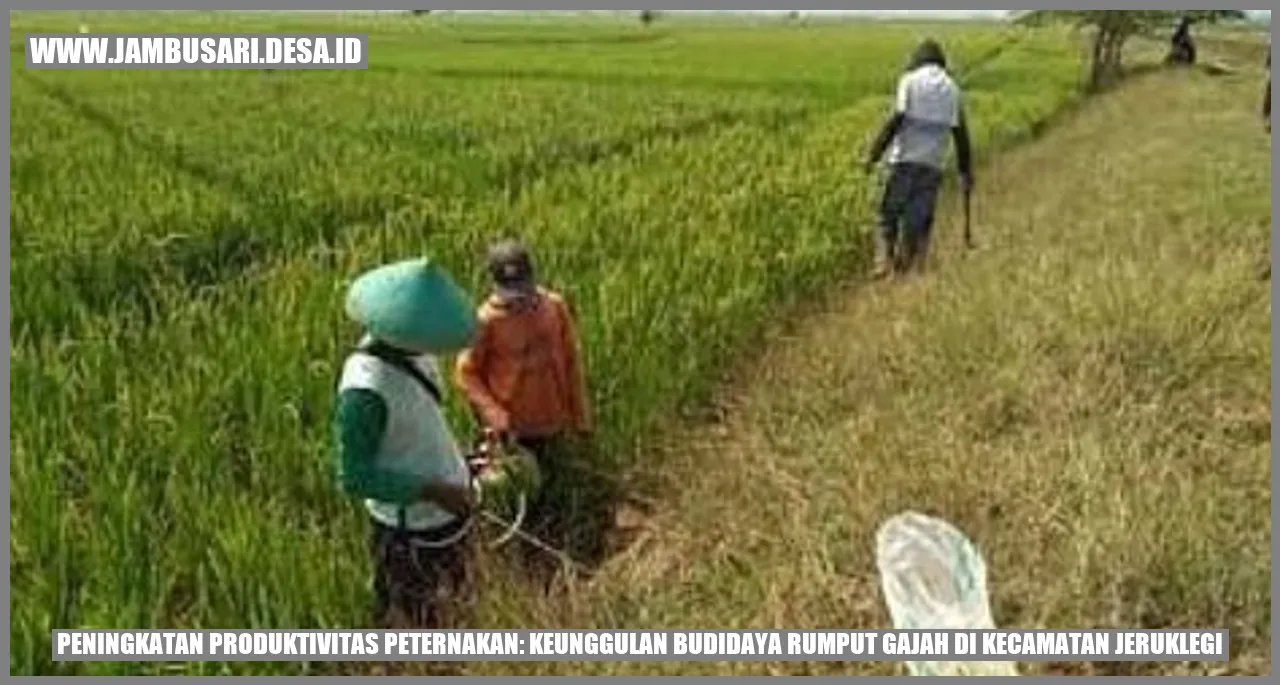 Rumput Gajah