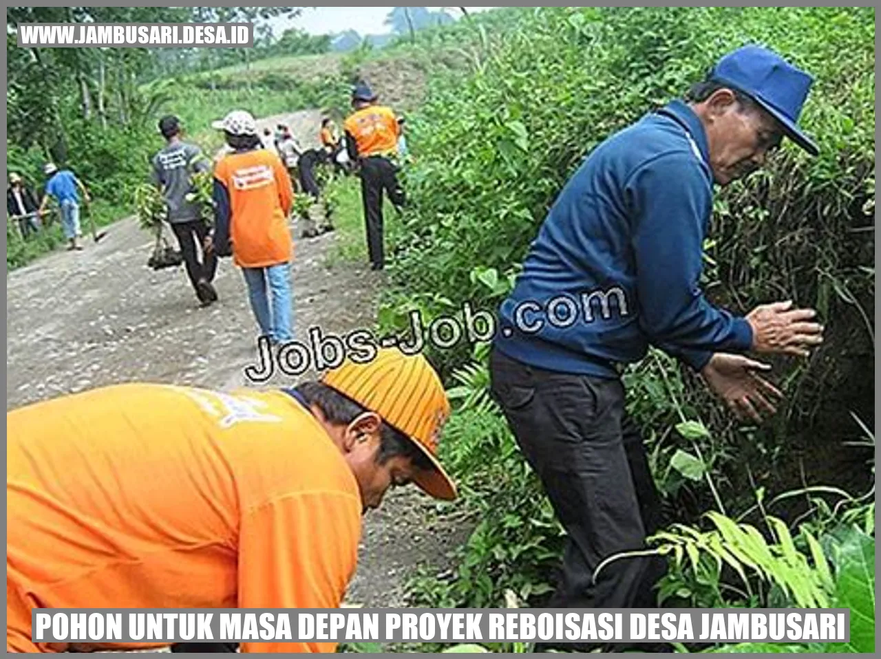 Gambar Pohon Reboisasi