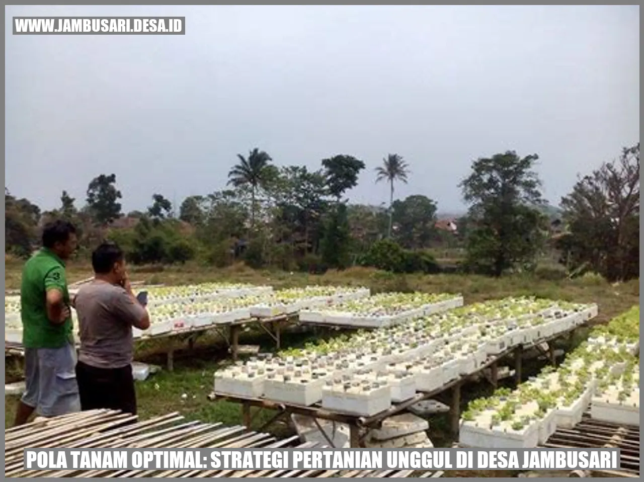 gambar pertanian