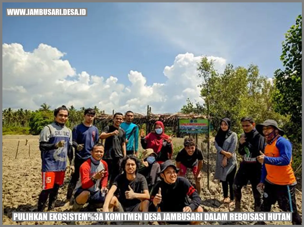 Gambar reboisasi hutan